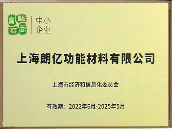 上海市专精特新中小企业